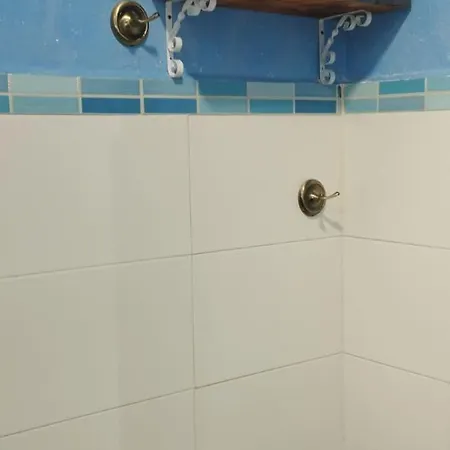 My Andalusian Passion Mi Pasion Andalusi *