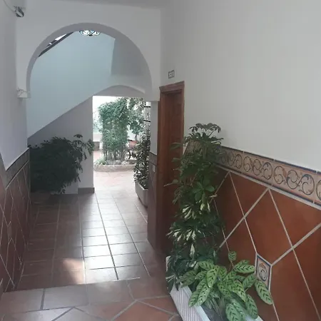 My Andalusian Passion Mi Pasion Andalusi Appartamento Cordova