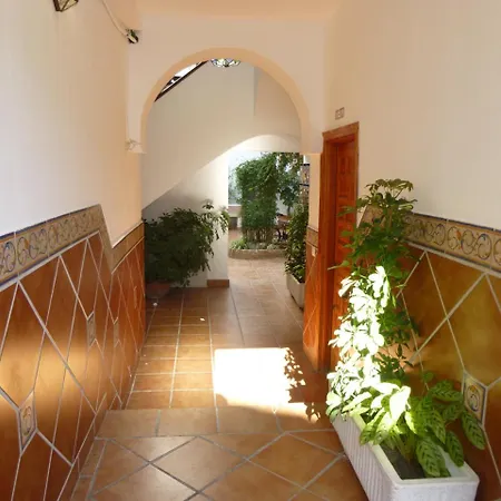 Апартаменты My Andalusian Passion Mi Pasion Andalusi Кордова