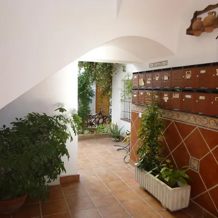 My Andalusian Passion Mi Pasion Andalusi *