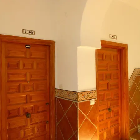 My Andalusian Passion Mi Pasion Andalusi