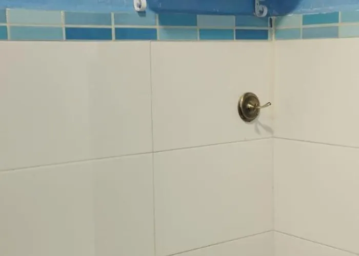 My Andalusian Passion Mi Pasion Andalusi *