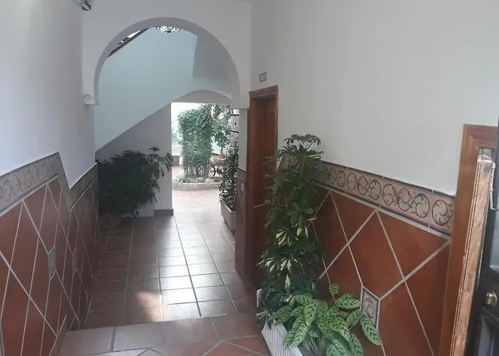 My Andalusian Passion Mi Pasion Andalusi דירה קורדובה