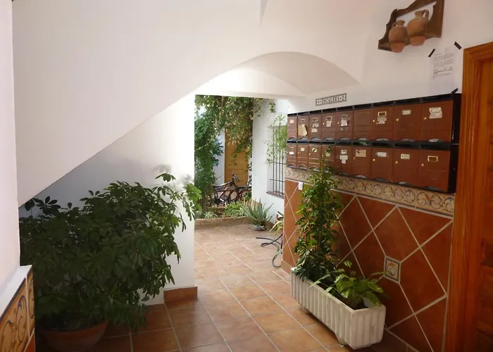 My Andalusian Passion Mi Pasion Andalusi *