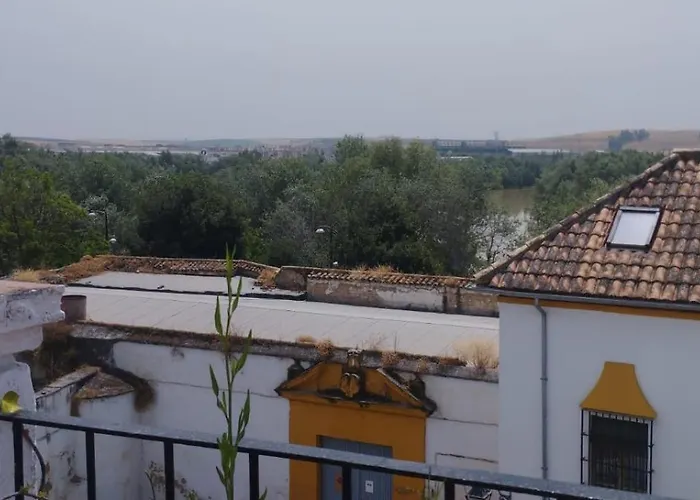 My Andalusian Passion Mi Pasion Andalusi Apartamento *