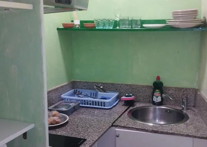 My Andalusian Passion Mi Pasion Andalusi *