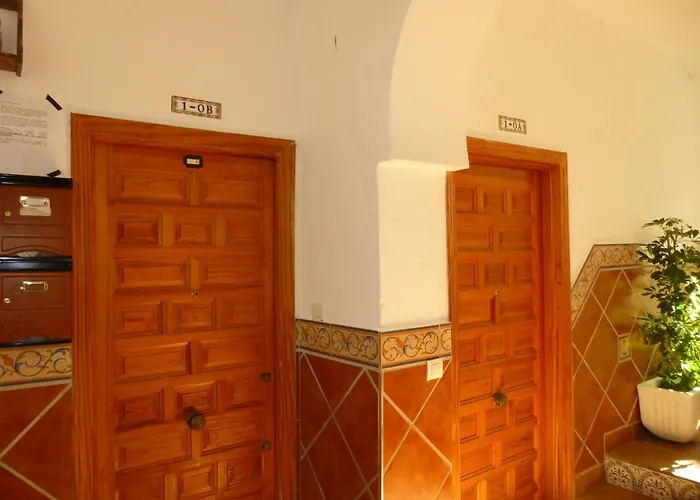 My Andalusian Passion Mi Pasion Andalusi